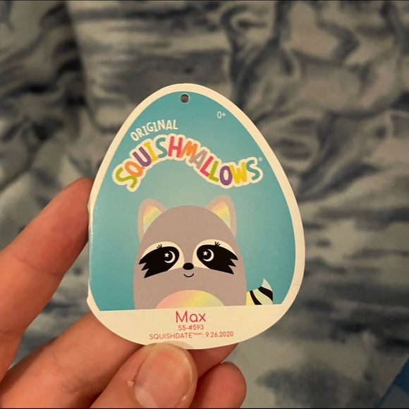 Max the Raccoon Bundle💙 - Picture 3 of 4